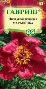 Пион уклоняющийся Марьюшка, 3 шт (Гавриш)