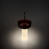 Раковина Antonio Lupi Lavabi ALBUME12 на пьедестал 52см схема 3