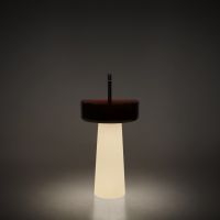 Раковина Antonio Lupi Lavabi ALBUME12 на пьедестал 52см схема 4