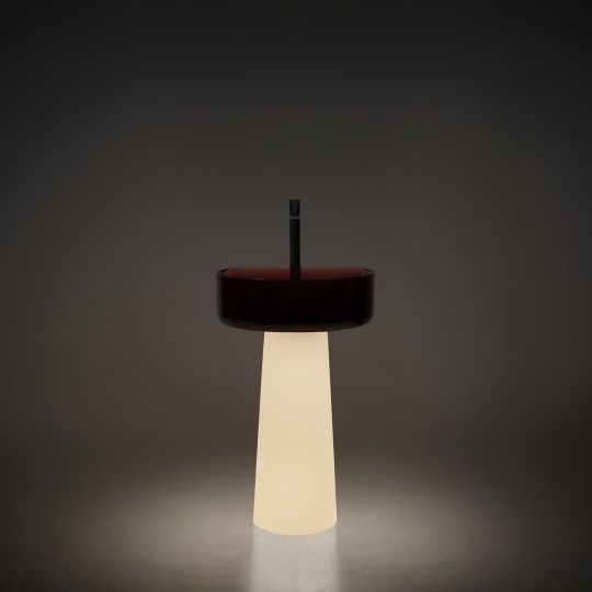 Раковина Antonio Lupi Lavabi ALBUME12 на пьедестал 52см схема 4