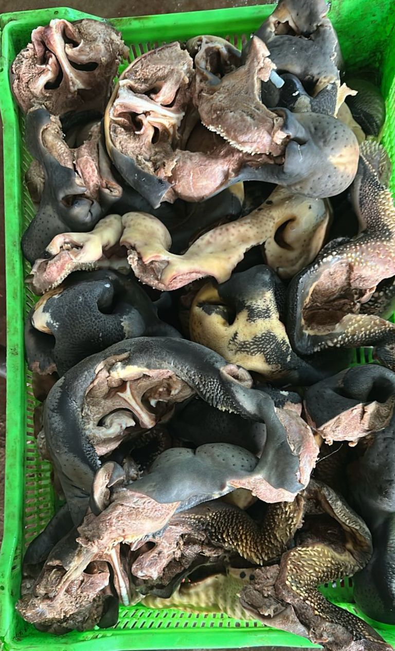 Носы/губы опаленые