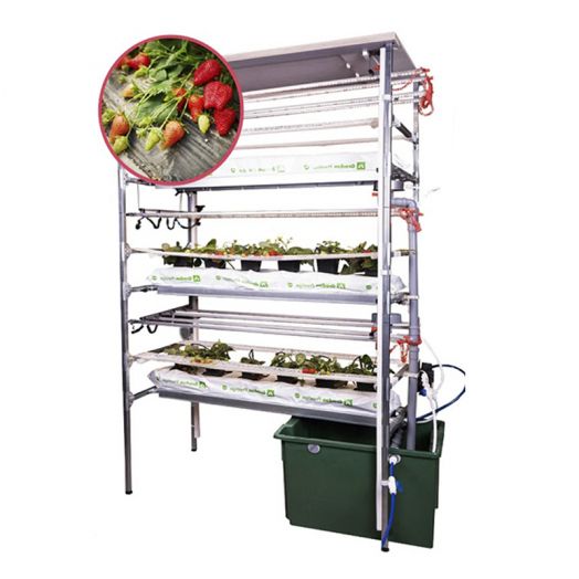 Комплект лабораторного оборудования «Клубничная ферма» для  агротехнологических  классов