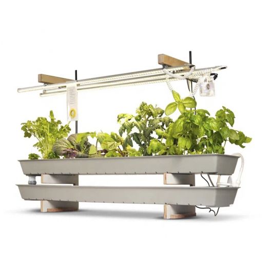 Комплект «Растения и их среда обитания» для  агротехнологических  классов