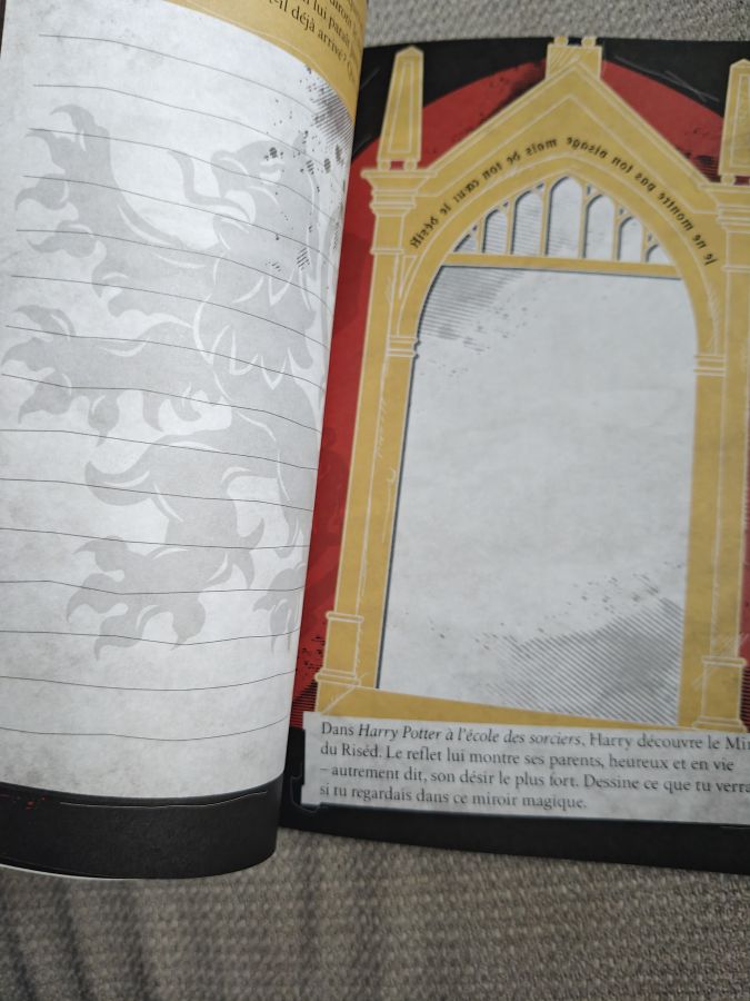 Журнал для записей Пуффендуй