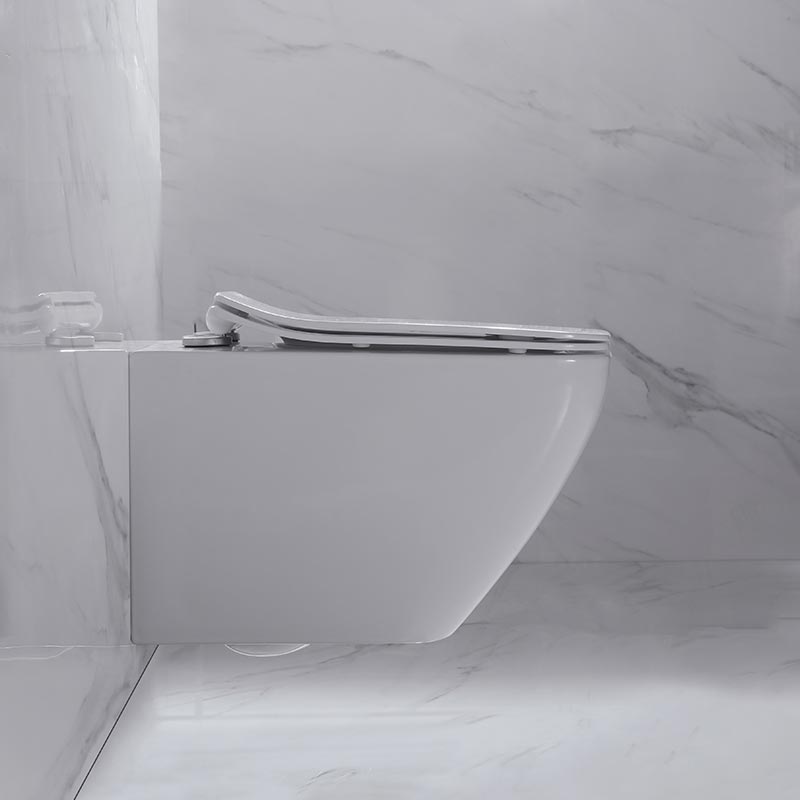 Безободковый подвесной унитаз NEMO 818B c крышкой-сиденьем из дюрапласта и системой Soft close сифон 180 мм ФОТО