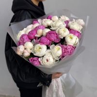 Акция! пионы цвет микс в матовой упаковке (от 11 шт)