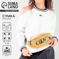 Сумка поясная CHAOS, текстильная, светоотражающие нашивки, на молнии, 35×12×5 см