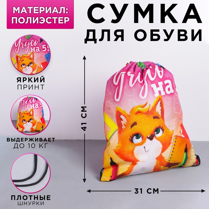 Мешок для обуви «Учусь на 5» полиэстер, размер 30?40 см