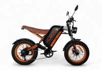 Электровелосипед Kugoo Kirin V6