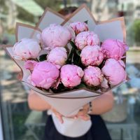Букет из 11 пионов
