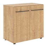Шкаф с глухими малыми дверьми LLC 80.1 800х430х781