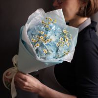 Гортензия и ромашки