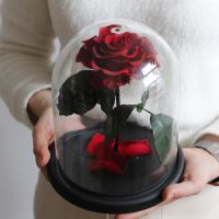 Аленький цветочек