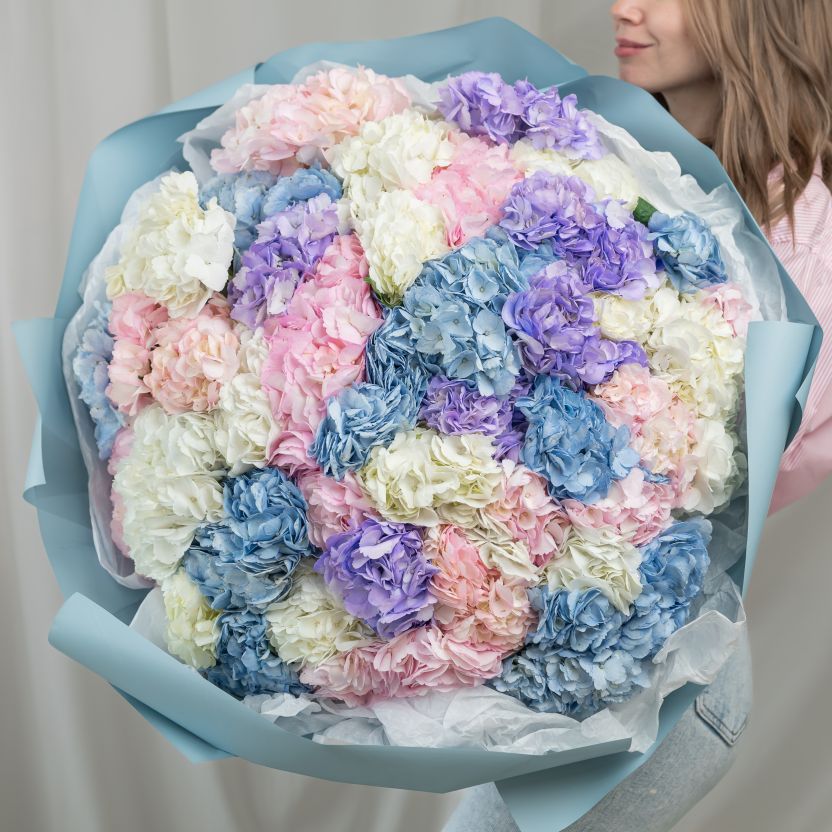 Гортензия от 3 шт (цвет микс)