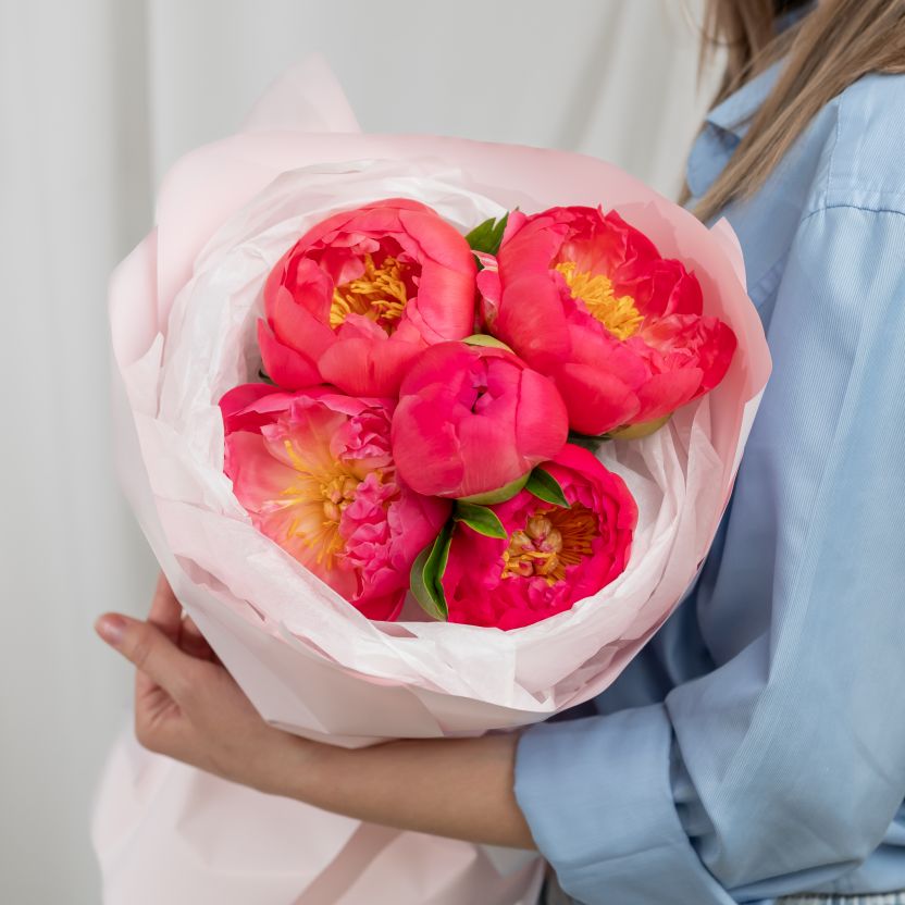 Пионы Корал от 5 шт