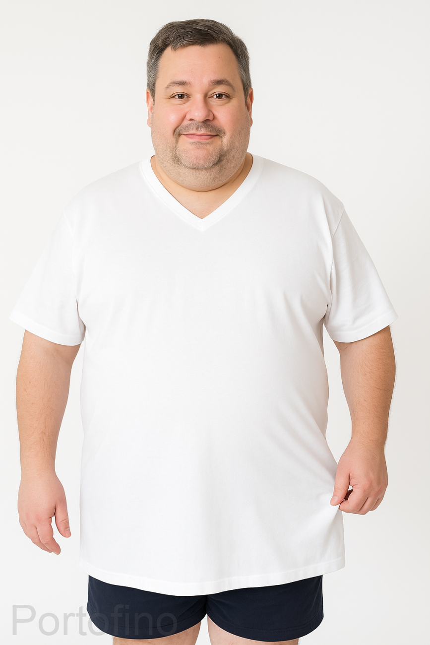 A1039