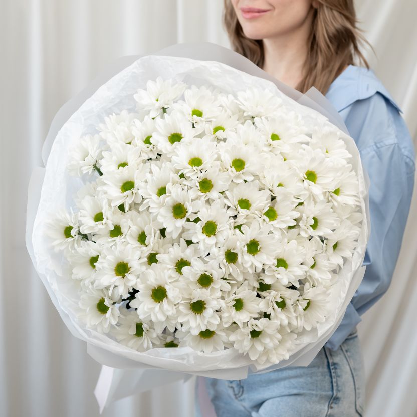 Хризантема от 15 шт (сорт Бакарди)