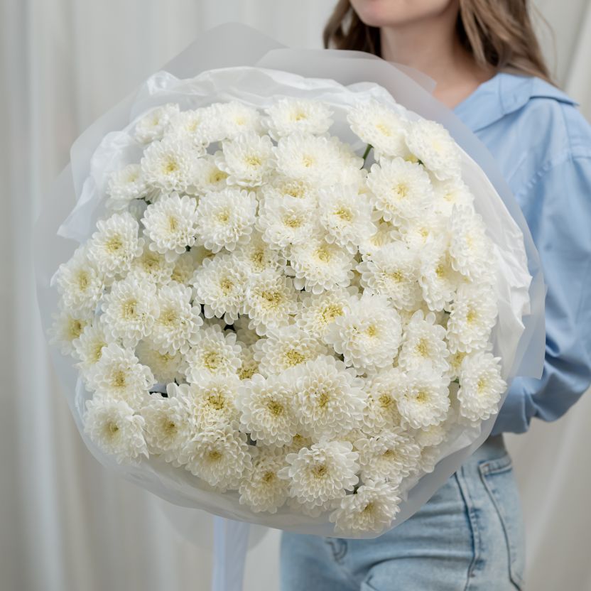 Хризантема от 15 шт (сорт Алтай)