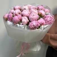 Букет из 21 пиона