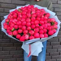101 Коралловый Пион