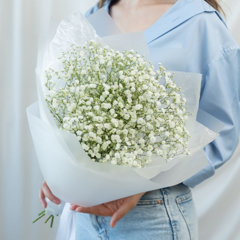 Гипсофила белая