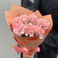 Комплимент из диантусов