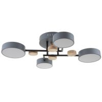 Люстра с ПДУ 2297/4GR LED 96Вт 3000-6000К серый 63х46х14 см BayerLux