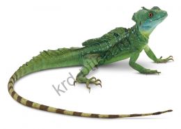 Василиск (Basiliscus basiliscus)