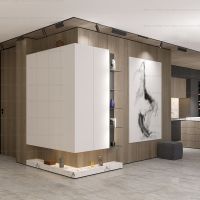 Трековая система освещения Skyline 220