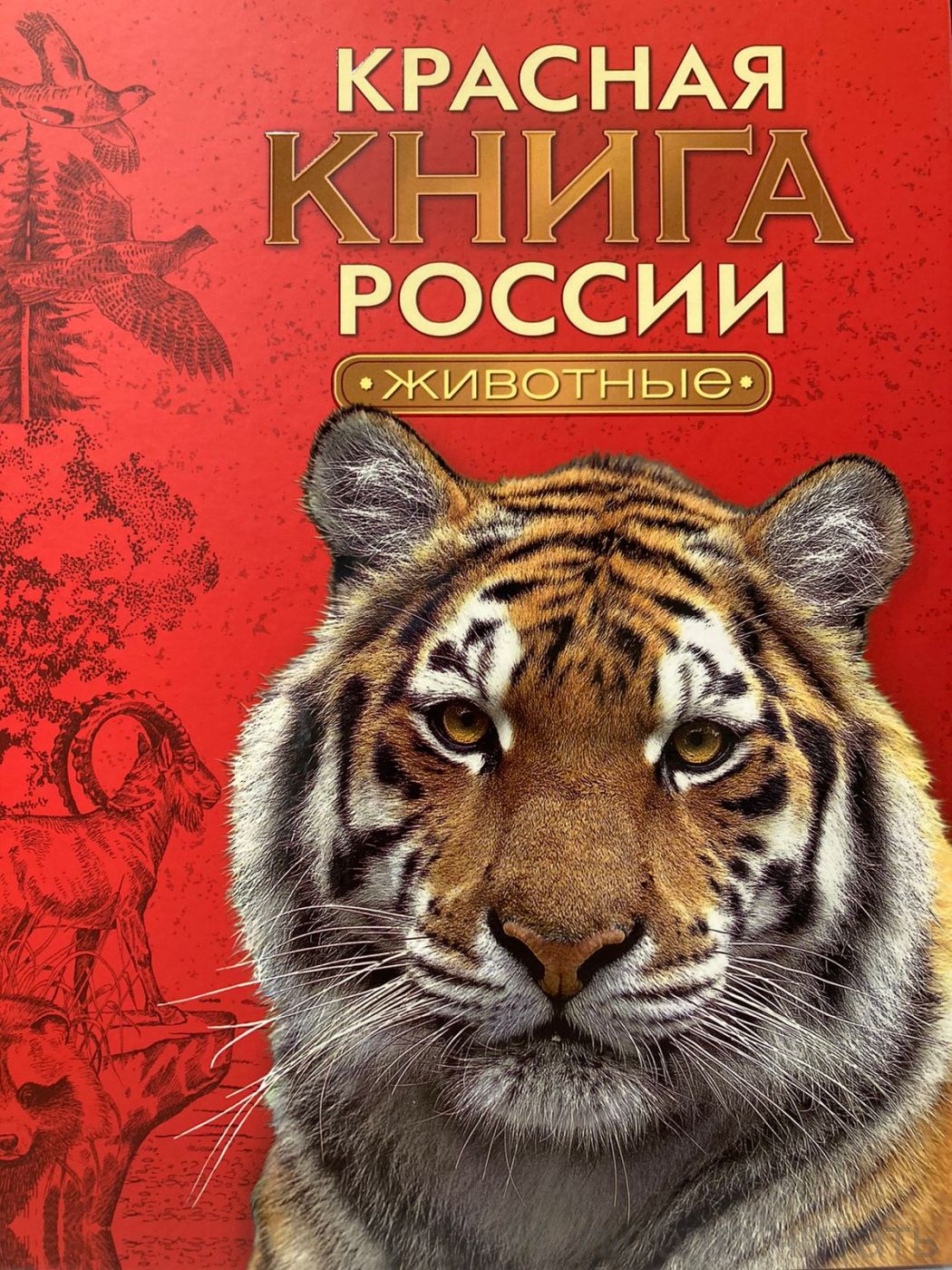 Красная книга России. Животные