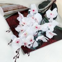 Цветы искусственные «Орхидея фаленопсис», 8?80 см, белые