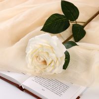 Цветы искусственные «Роза эстетик», 10?49 см, белые