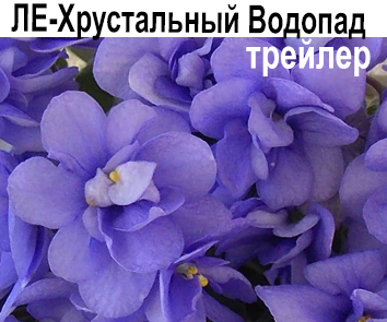 ЛЕ-Хрустальный Водопад (Лебецкая)