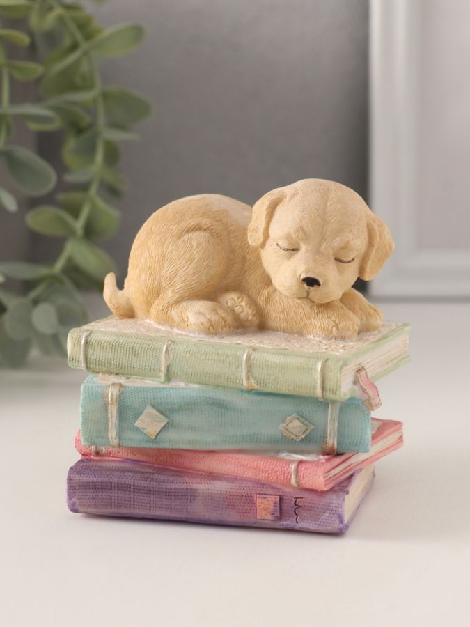 Фигурка полистоун «Щенок спит на книгах», 9?7?8.5 см