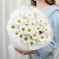 Хризантема от 3 шт (сорт Бакарди) в круглой упаковке