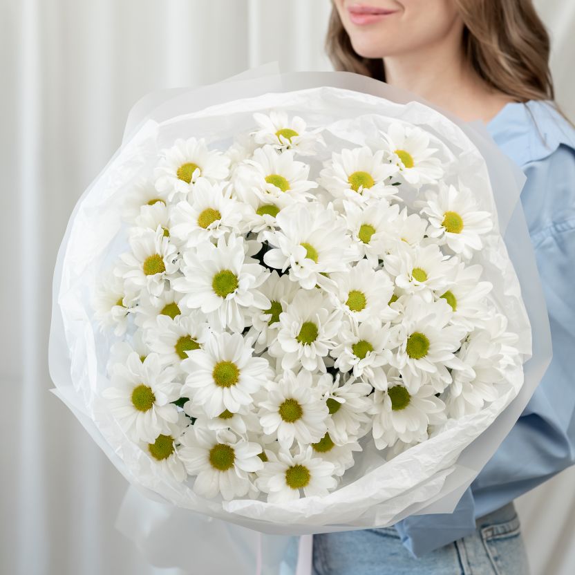 Хризантема от 9 шт в упаковке