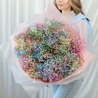 Гипсофила радужная от 5 шт