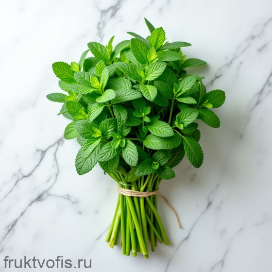 Мята свежая 100 гр Мята свежая 100 гр