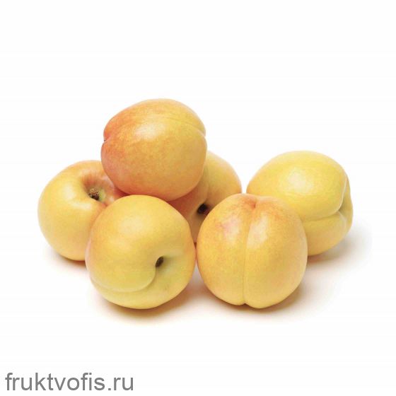 Нектарин Узбекский Нектарин Узбекский