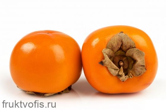 Хурма Королек