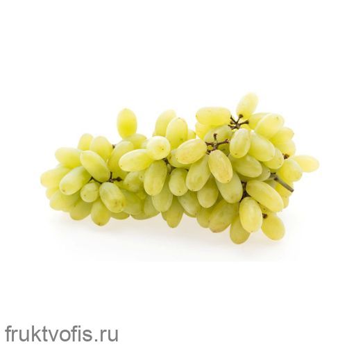 Виноград Хусайне Виноград Хусайне