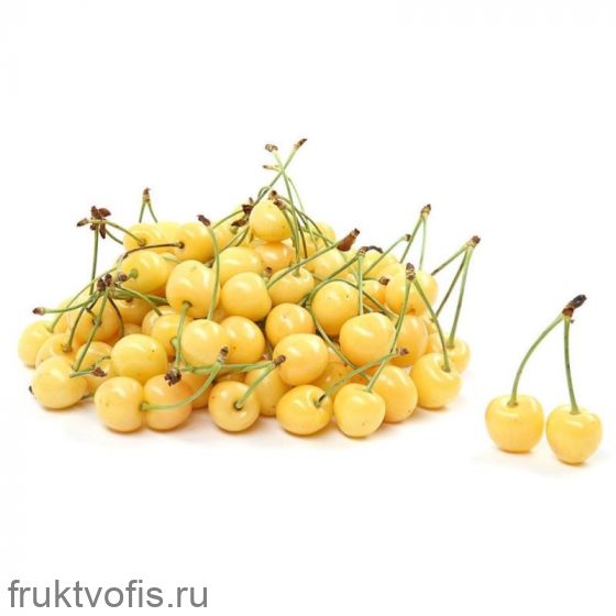 Черешня белая