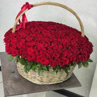 301 Красная Роза в корзине