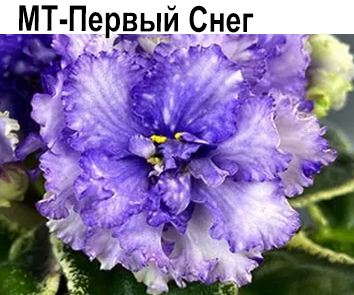 МТ-Первый Снег (Тотиева)  НОВИНКА КАТАЛОГА!