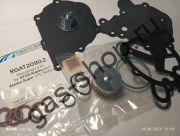 Ремкомплект редуктора TOMASETTO ALASKA AT09, вариант с фильтром, без крышки - оригинал RGAT 2090.2