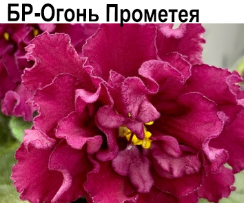 БР-Огонь Прометея (Вуркацкие)  НОВИНКА КАТАЛОГА!