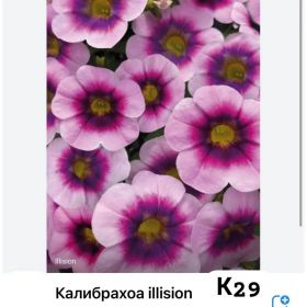 КАЛИБРАХОА CALILOCO Illusion