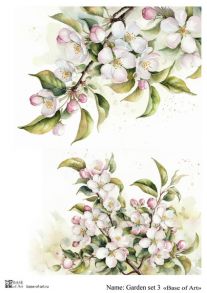 Garden set 3