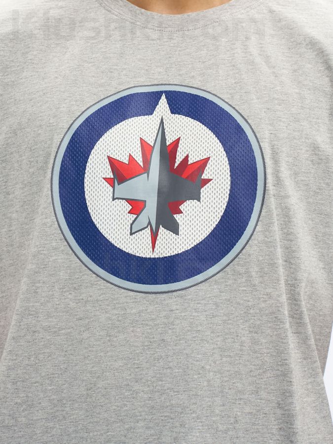 Футболка Winnipeg Jets, сер., XL (ТМ ATRIBUTIKA&CLUB) арт 31860