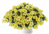 КАЛИБРАХОА Colibri Lemon